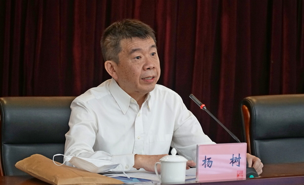 杨树.jpg