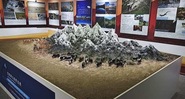 “地球第三极的生灵—珠穆朗玛峰国家级自然保护区生态文化图片展”现场.jpg