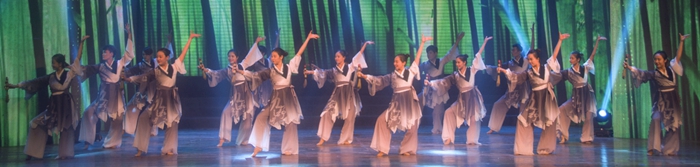 舞蹈:《茅龙狂草》